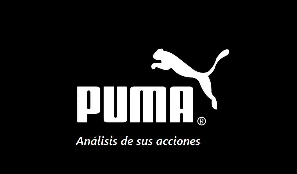 Puma bolsa