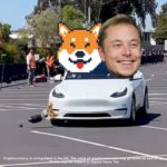 Tamadoge Elon Musk