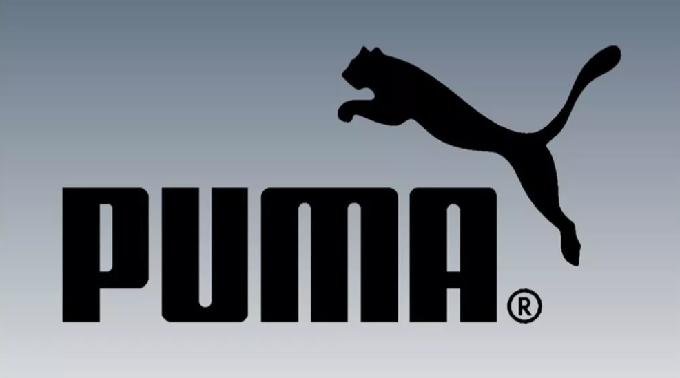 Acciones puma
